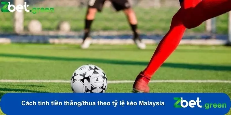 Khám Phá Cách Xem Tỷ Lệ Kèo Malaysia Chi Tiết Tại Zbet 2 Cách tính tiền thắng thua theo tỷ lệ kèo Malaysia