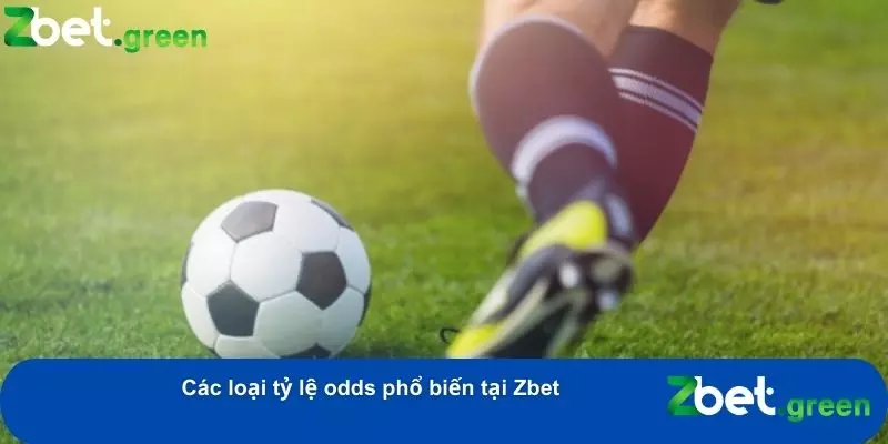 Hiểu Rõ Tỷ Lệ Odds Tại Nhà Cái Zbet – Cách Tính Và Ý Nghĩa 2 Cung cấp đa dạng các loại odds cho người chơi lựa chọn