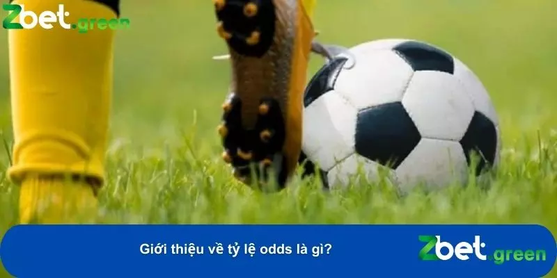Hiểu Rõ Tỷ Lệ Odds Tại Nhà Cái Zbet – Cách Tính Và Ý Nghĩa 1 Xác suất và lợi nhuận tiềm năng từ việc đặt cược vào một kèo